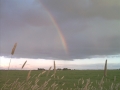 Ehh.. Friesland!