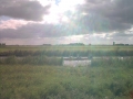 Harinxmakanaal