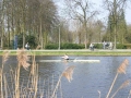 20skiffhead2005