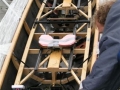 We gaan weer uit het water