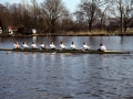 damescl8-2