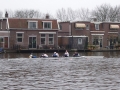hcl4-11