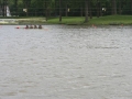 img-0746