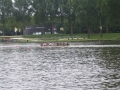 img-1317