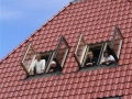 Verbouw boerderij 5