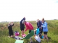 Alde Feanen 7