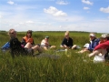 Alde Feanen 9