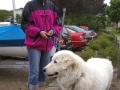 Botenwagenchauffeur(s) met hond