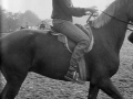 Man en paard