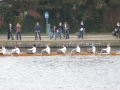 h4k2007za-adriaan-ricsite30