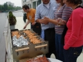 bbq1