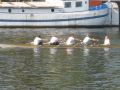 onderlinge-jorrit-0791