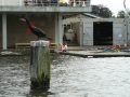 img-0878