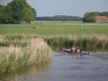 elfsteden09evl-6238