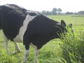 barcie-uitje-2009-031