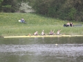 hollandia2010zon-mvk-2409