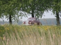 11steden2010-evl-2718
