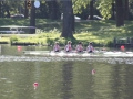 randstad2010-mvk-3758