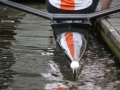 2011skiffhead-lvl-2776