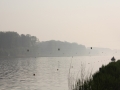 img-2265