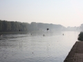 img-2435