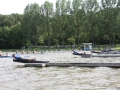 2011arb-mvk-6313
