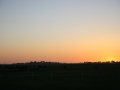 201111st-sd-3644