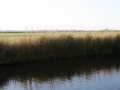 201111st-sd-3697