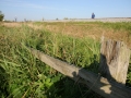 201111st-sd-3712