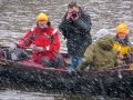 2013zwaankla-sekvdl--0114