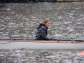 2013zwaankla-sekvdl--89