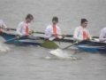 2013h4kza-mvk-3806