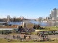 IMG_4145.JPG