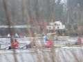 IMG_4462.JPG