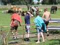 IMG_9543