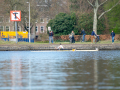 20250323-DSC_0482