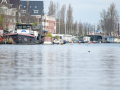 20250323-DSC_0494