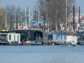 20250323-DSC_0521