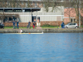20250323-DSC_0530