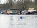 20250323-DSC_0633