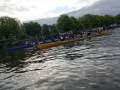 SON06184