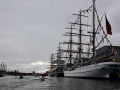 SON06229