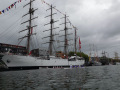SON06279