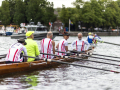 Sail-31