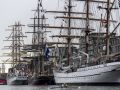 Sail-37